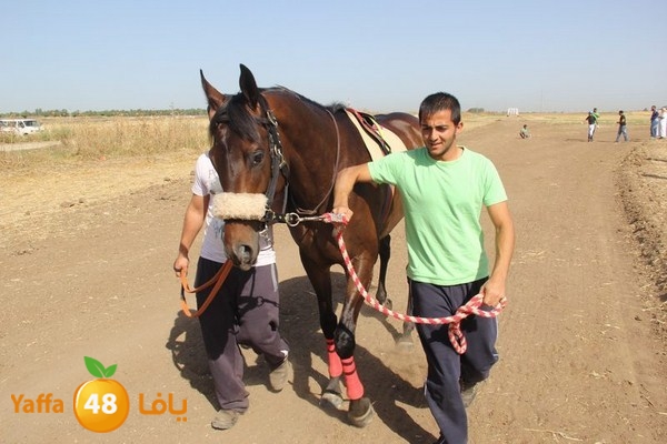 horse race 0602 (25).JPG